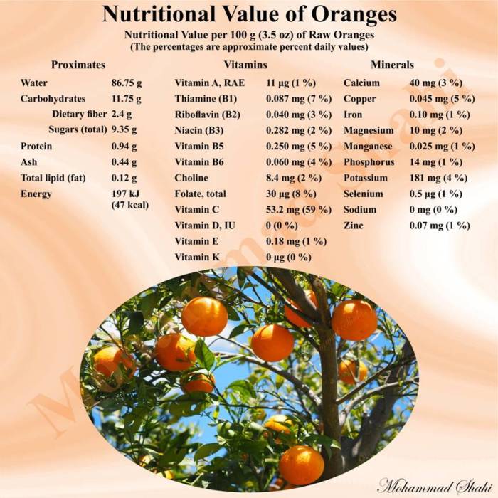 Orange nutrition facts 100g